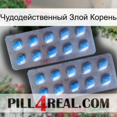 Чудодейственный Злой Корень viagra4